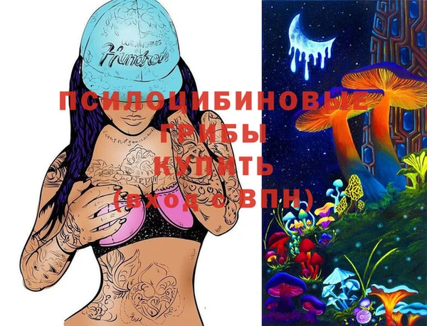 стафф Медногорск