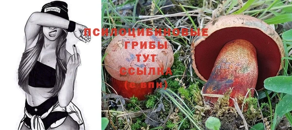прущий лед Михайлов