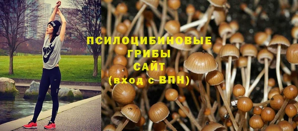 прущий лед Михайлов