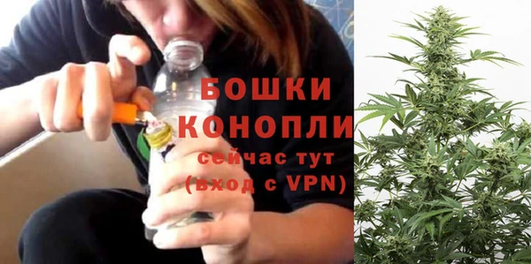 стафф Медногорск