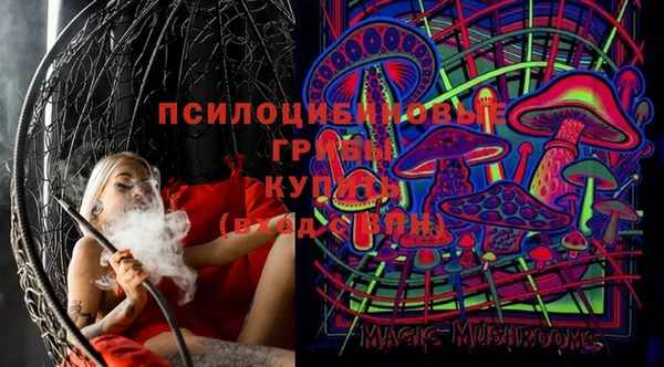 стафф Медногорск