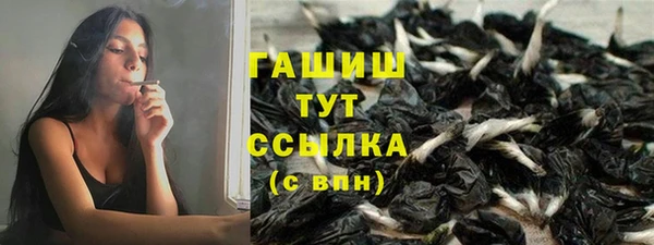 гидра Медвежьегорск