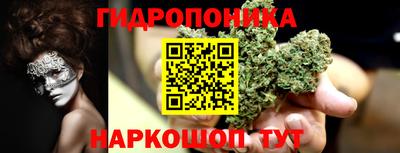 spice Славгород