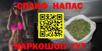spice Славгород