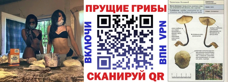 hydra ONION  Элиста  Галлюциногенные грибы ЛСД  наркота 