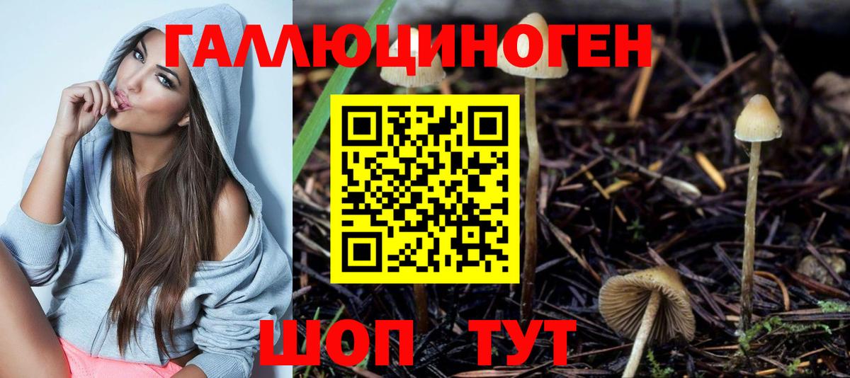 Галлюциногенные грибы прущие грибы  Вход с VPN  Элиста  Галлюциногенные грибы Psilocybe 
