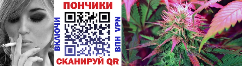 магазин продажи   блэк спрут рабочий сайт  Конопля Bruce Banner  Элиста 